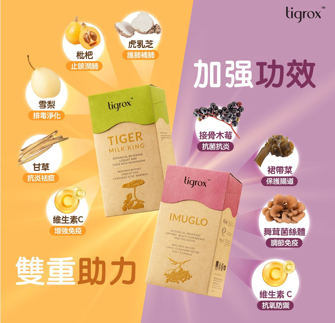 Tigrox IMUGLO 接骨木莓保健飲(1盒20包)