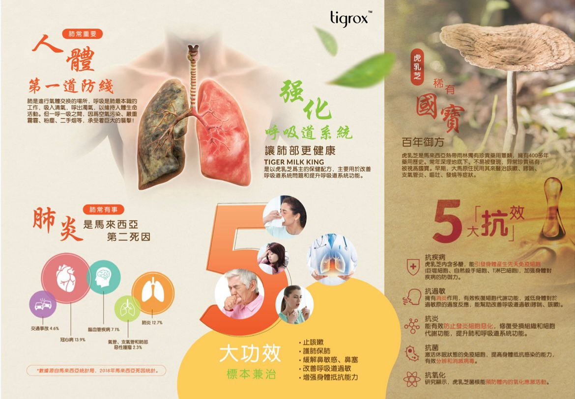 Tigrox IMUGLO 接骨木莓保健飲(1盒20包)